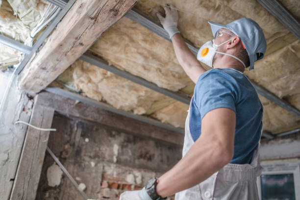 Best Residential Insulation in Vineyard, CA